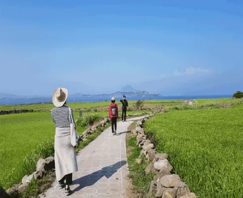 혁신적 사용 경험 제주여행 3박4일 가성비 최강 제품