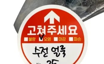 혁신적 사용 경험 사전점검원케어 전문가 강력 추천