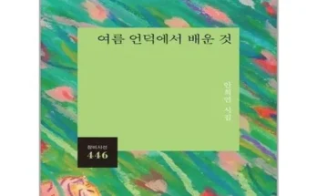 혁신적 사용 경험 여름언덕에서배운것 현대 생활의 필수품